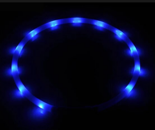 USB Charging Flashing Dog Collar Led Light Safe Night Walking Blue