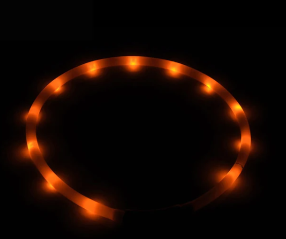 USB Charging Flashing Dog Collar Led Light Safe Night Walking Orange
