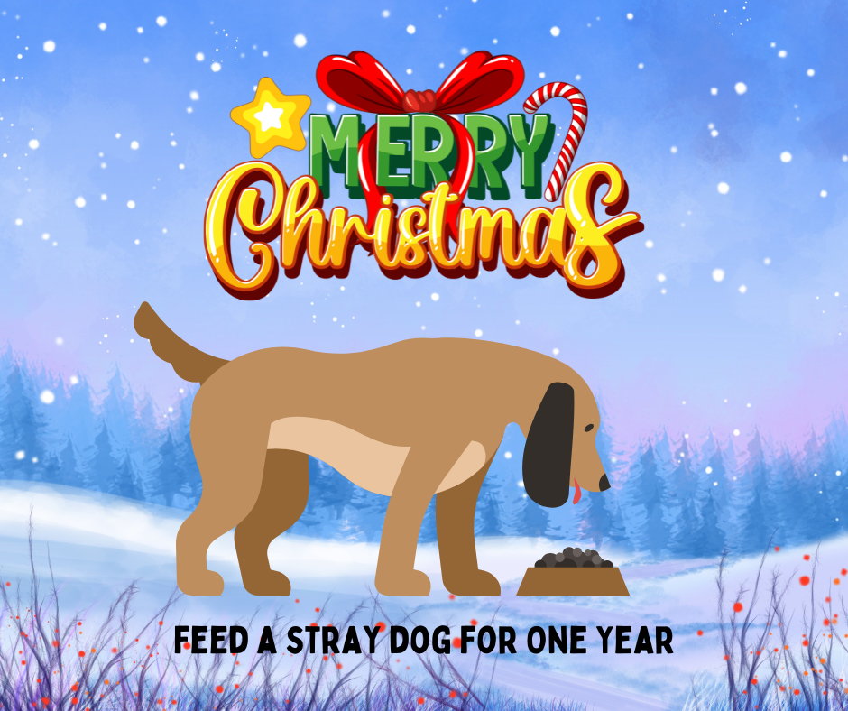 Feed A Dog For A Year Virtual Gift