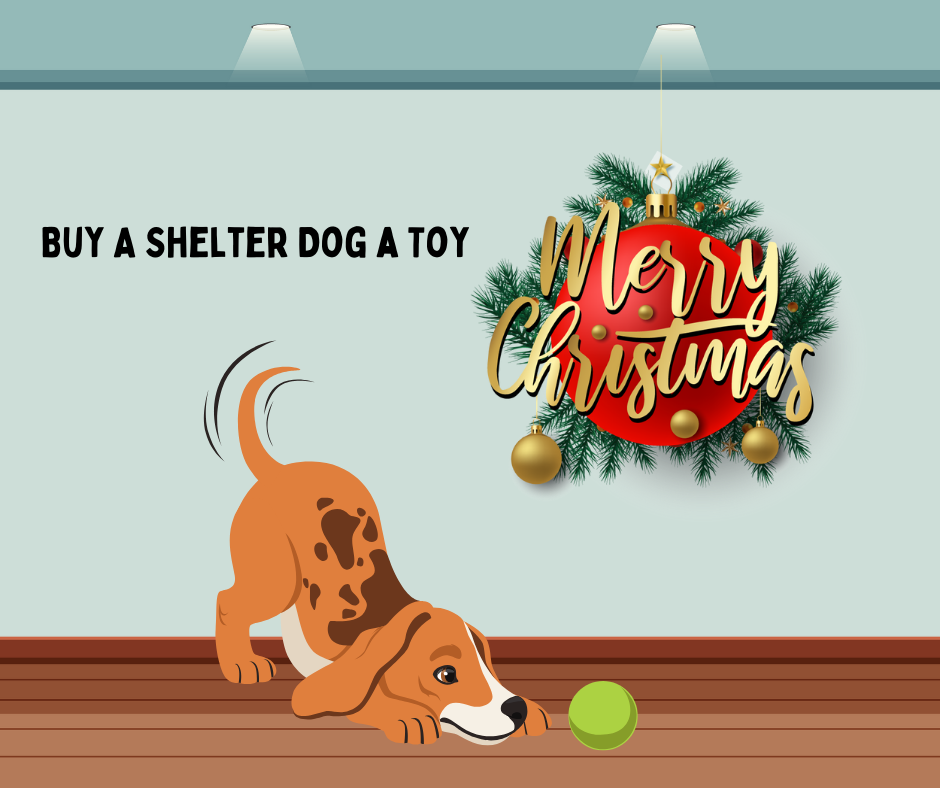Buy A Toy For A Shelter Dog Virtual Gift