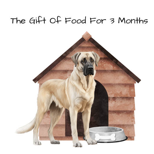 Feed A Dog For 3 Months Virtual Gift