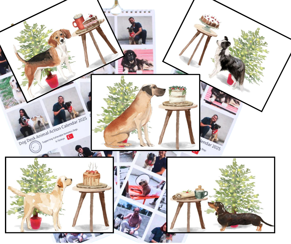 Calendar & Deluxe Christmas Cards Bundle 4
