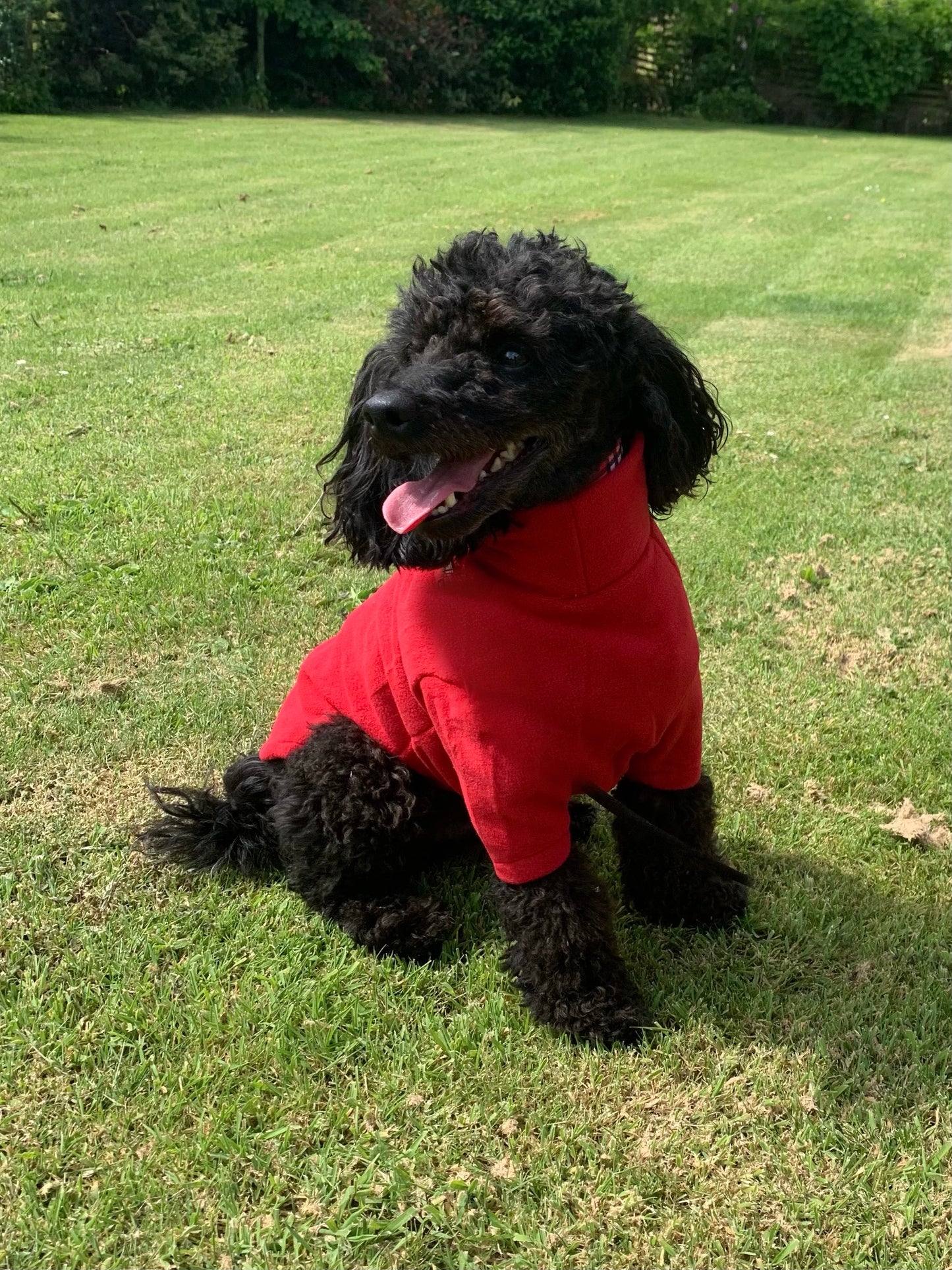 Hotterdog Dog Jumper Water-repellent, Warm and Washable Fleece
