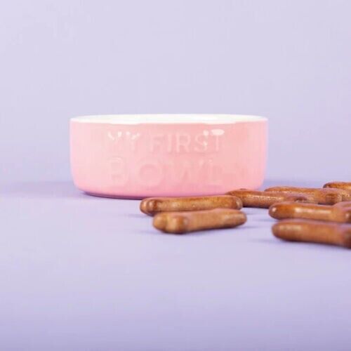 Scruffs My First Bowl Puppy Dog Bowl 13cm Pink