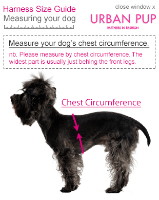 Urban Pup Wallace and Gromit Dog Harness