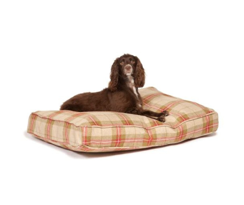 Danish Design Newton Moss Box Duvet Dog Bed