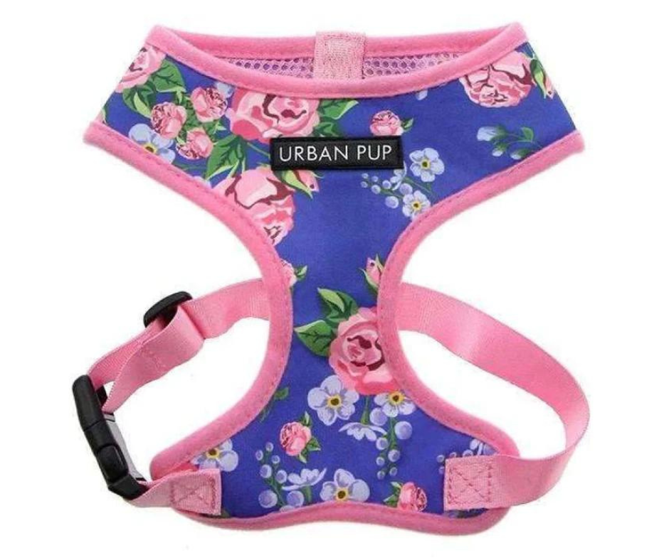 Pink / Blue Floral Burst Dog Harness