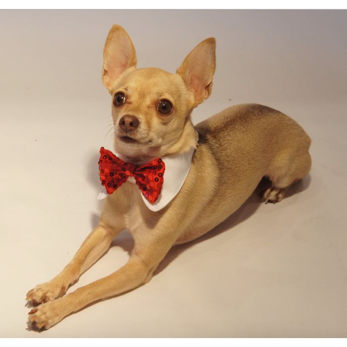 Pet London Sequin Encrusted Holiday Dog Bow Tie