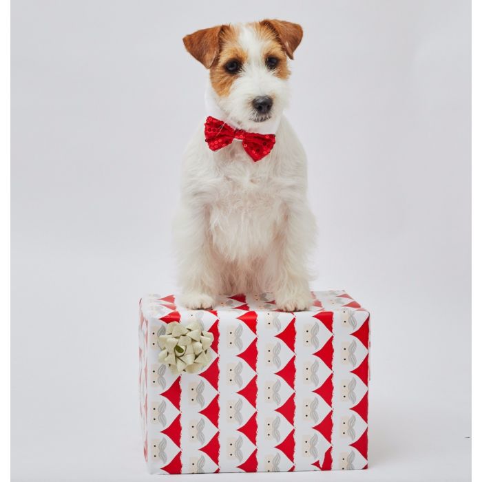 Pet London Sequin Encrusted Holiday Dog Bow Tie