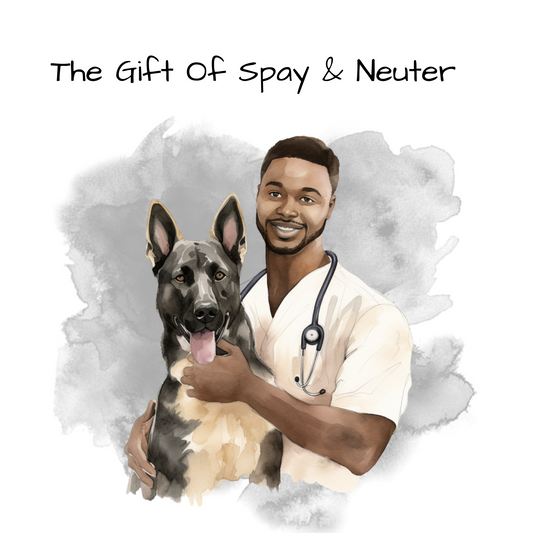 Spay or Neuter A Dog Virtual Gift
