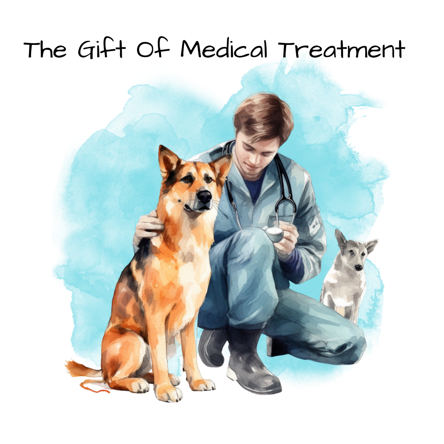 Medical Treatment For A Homeless Dog Virtual Gift