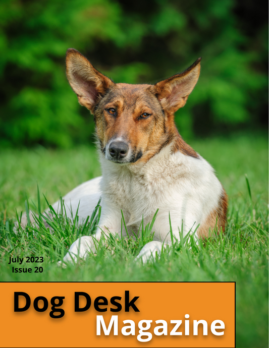 Dog Desk Magazine July 2023