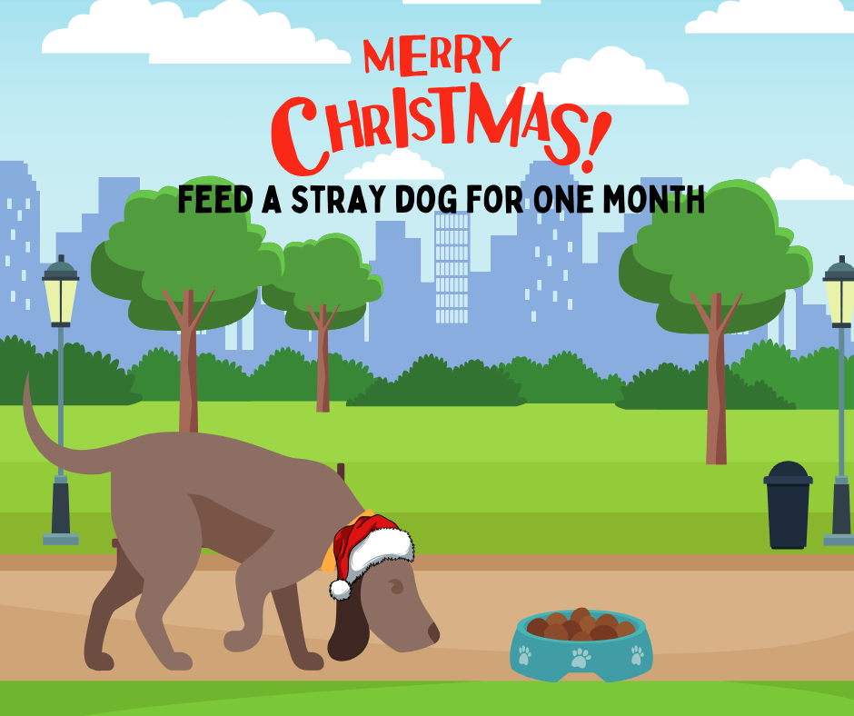 Feed A Dog For A Month Virtual Gift