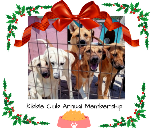 Kibble Club One Year Membership Virtual Gift