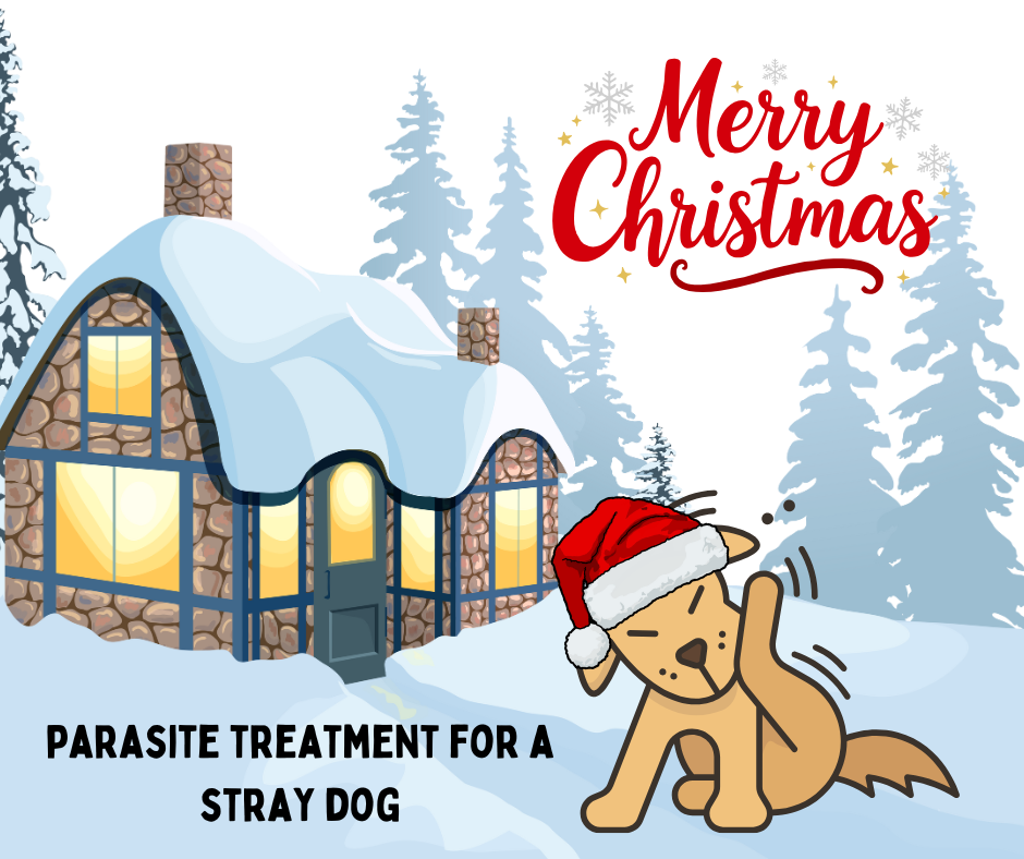 The Gift Of Parasite Treatment Virtual Gift