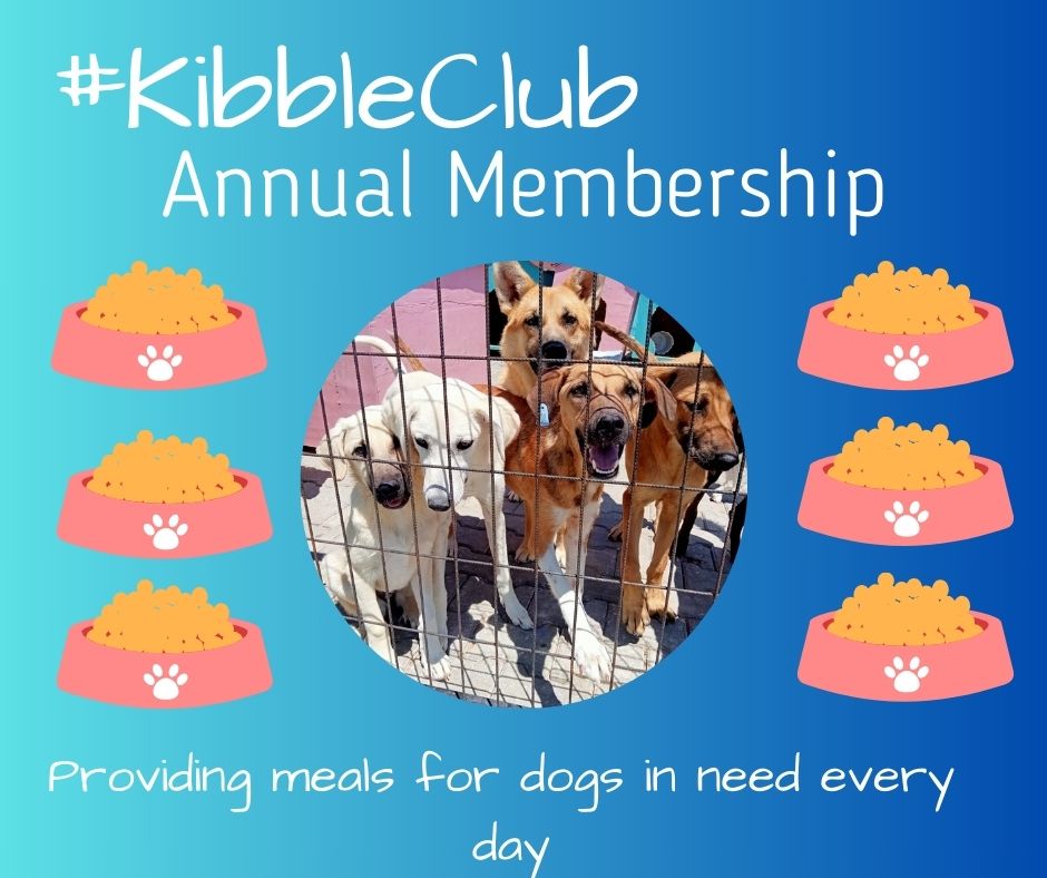 Kibble Club One Year Membership Virtual Gift