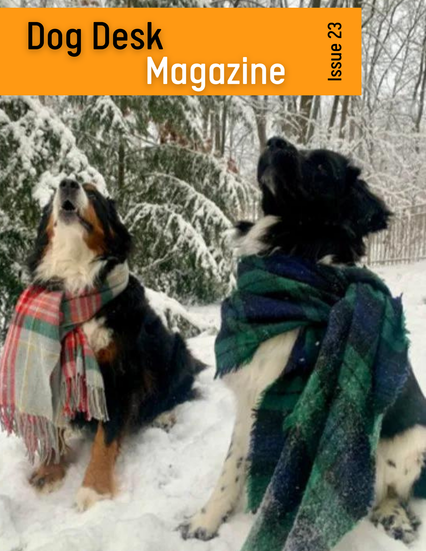 Dog Desk Magazine Issue 23