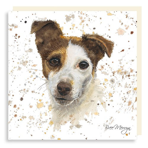Bree Merryn, Fine Art Jack Russell Small Card To Post