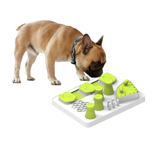 All For Paws Interactive Food Puzzle Slow Dog Feeding Bowl Combo Enjoy The Meal