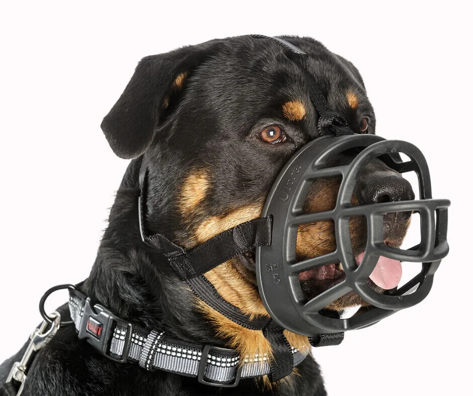 Company of Animals Baskerville Ultra Dog Muzzle