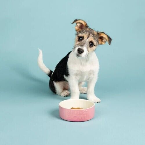 Scruffs My First Bowl Puppy Dog Bowl 13cm Pink