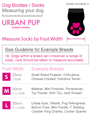 Urban Pup Snowman Pet Dog Socks