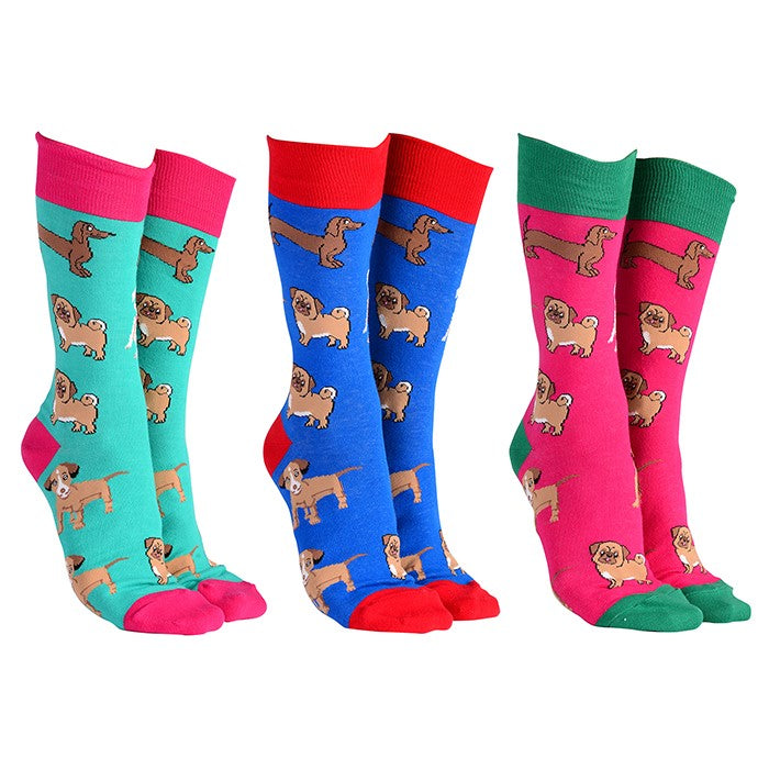 Sock Society Dog Pattern Socks