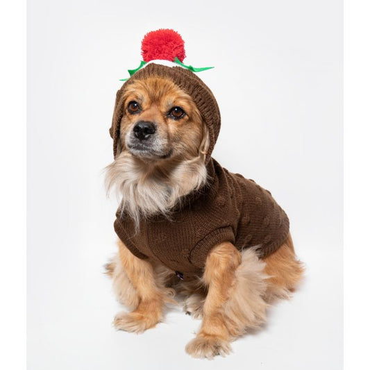 Christmas Pudding Dog Hoody