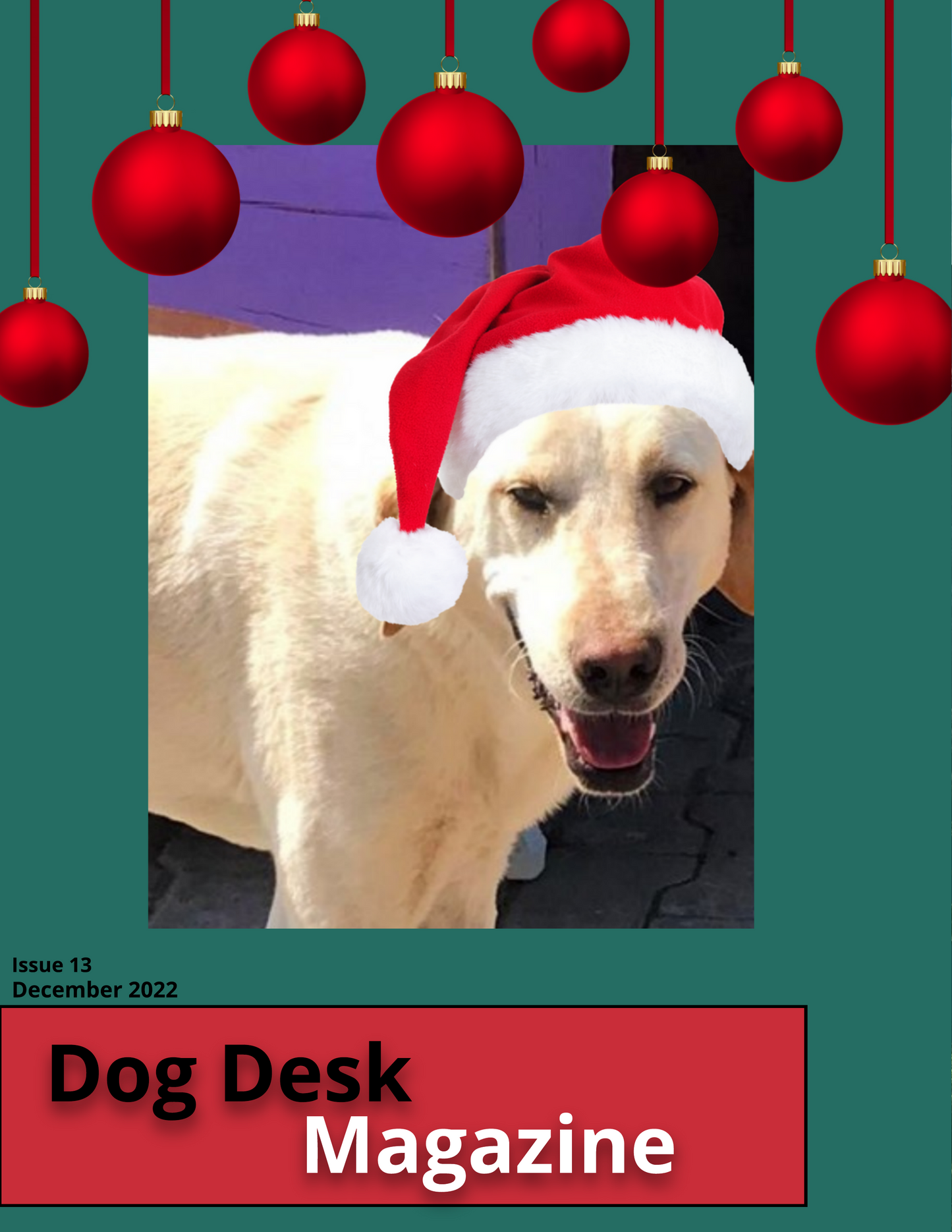 Dog Desk Magazine December 2022