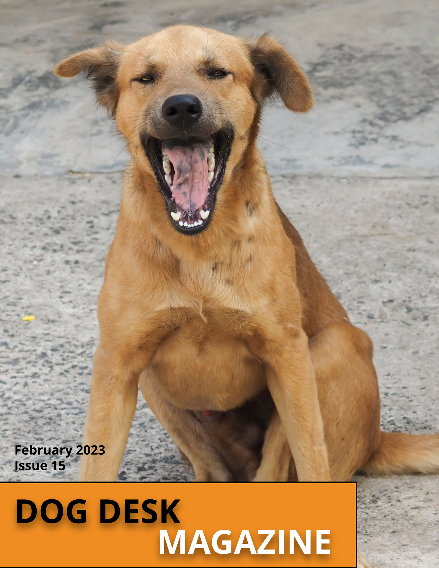 Dog Desk Magazine February 2023