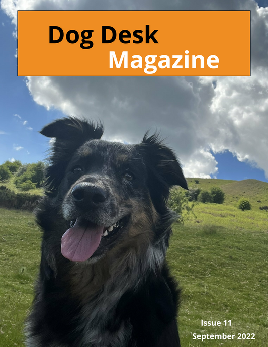 Dog Desk Magazine September 2022