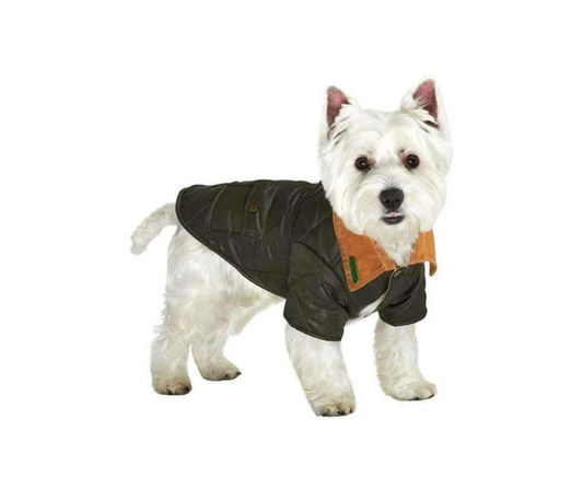 Forest Green Quilted Town & Country Dog Coat