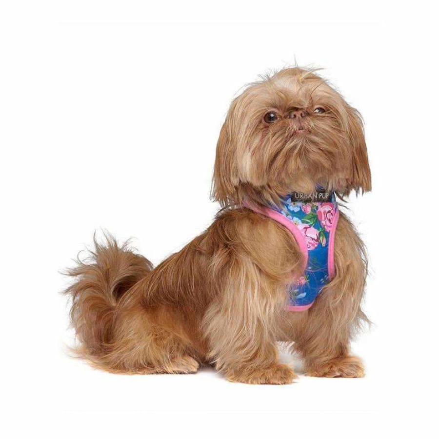 Pink / Blue Floral Burst Dog Harness