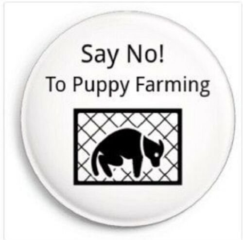 Animal Welfare Slogan Street Homeless Stray Dog Say No To Puppy Farming Badge