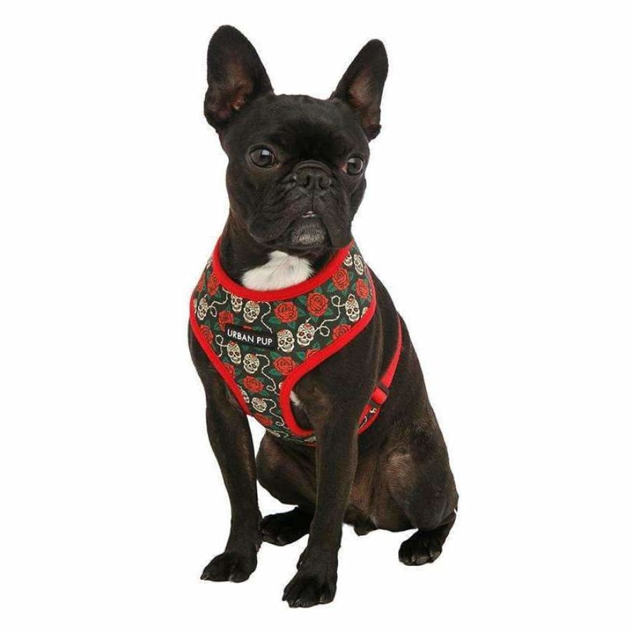 Skull & Roses Dog Harness XXS